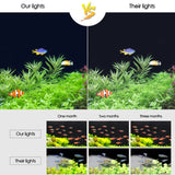 XY-20K Aquarium Glass Fish Tank LED Aquatic Bracket Lamp, US Plug, XY-20K