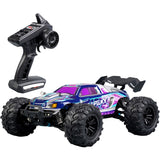 SCY-16101 2.4G 1:16 Electric 4WD RC Monster Truck Coupe Car Toy, SCY-16101 / Blue, SCY-16101 / Purple