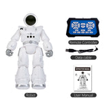 JJR/C R18 Gesture Sensing Remote Control Robot, R18