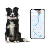 V41 Smart GPS Tracker IP67 Waterproof Pet Anti-loss Positioner, 2G Version, 4G  Version-A, 4G Version-B