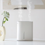 Y10 Runway Dual Jet Humidifier Colorful Marquee Night Light 1L Air Purifier for Home Office