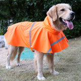 Teddy Golden Retriever Large Dog Practical Reflective Breathable Raincoat, Size: XS, XS