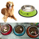 Stainless Steel Bowls, Anti-slip Colorful Paint Printed Pets Bowls, Bowl Diameter: 22.5 cm, Bowl Bottom Diameter: 29.5 cm, Diameter: 22.5 cm