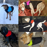 Pet Dog Cotton Vest Ski Suit, Size: 4XL, Chest: 63cm, Back Length: 55cm, Size: 4XL