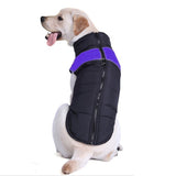 Pet Dog Cotton Vest Ski Suit, Size: 4XL, Chest: 63cm, Back Length: 55cm, Size: 4XL