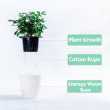 Lazy Flower Pots Automatic Water-absorbing Hydroponic Potted Plants Circular Resin Plastic Flower Pots Double-layer Design Self Watering Planter, Diameter: 11cm, Height: 10.3cm, Diameter: 11cm, Height: 10.3cm