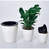 Lazy Flower Pots Automatic Water-absorbing Hydroponic Potted Plants Circular Resin Plastic Flower Pots Double-layer Design Self Watering Planter, Diameter: 11cm, Height: 10.3cm, Diameter: 11cm, Height: 10.3cm