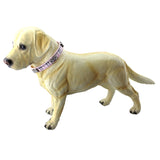 PU Leather with Bone Designs Pet Dog Collar Pet Products, Size: S, 1.5 * 37cm, Size: S