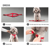 Pet Dog Collar + Harness + Leash Three Sets, S, Harness Chest Size: 34-50cm, Collar Neck Size: 24-35cm, Pet Weight: 8kg Below, Harness Chest Size: 34-50cm, Collar Neck Size: 24-35cm