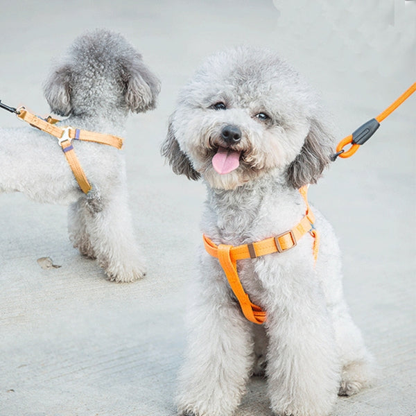 Pet Dog Collar + Harness + Leash Three Sets, S, Harness Chest Size: 34-50cm, Collar Neck Size: 24-35cm, Pet Weight: 8kg Below, Harness Chest Size: 34-50cm, Collar Neck Size: 24-35cm