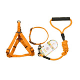 Pet Dog Collar + Harness + Leash Three Sets, M, Harness Chest Size: 43-67cm, Collar Neck Size: 33-52cm, Pet Weight: 15kg Below, Harness Chest Size: 43-67cm, Collar Neck Size: 33-52cm