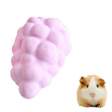 Pet Fruit Type Calcium Stone Hamsters Rabbits Small Pets Teeth Grinding Stones Pets Training Tools