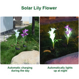 Simulated Lily Flower 4 Heads Solar Powered Outdoor IP55 Waterproof LED Decorative Lawn Lamp, Colorful Light, Colorful Light