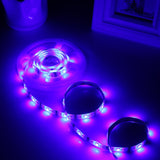 USB 5050 SMD LED Blue Light Waterproof Epoxy Rope Light, 30 LED/m, DC 5V, Length: 2m, 30 LED/m, Blue Light