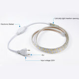 Waterproof IP65 SMD 5730 LED Light with Power Plug, 120 LED/m, AC 220V, 2m White Light, 2m Warm White