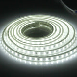 Waterproof IP65 SMD 5730 LED Light with Power Plug, 120 LED/m, AC 220V, 2m White Light, 2m Warm White