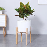 Flower Pot Set Solid Wood Flower Frame + PP Flower Pot