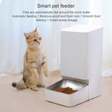 Xiaomi Mijia Smart Pet Automatic Feeder, Capacity: 3.6L, Mijia Smart Pet Automatic Feeder