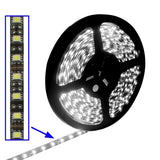 White Light 5050 SMD LED, 30 LED/m, S-LED-1211B, S-LED-1211A