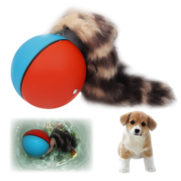 Motorized Rolling Chaser Ball Toy for Dog / Cat / Pet / Kid, Random Color Delivery, Motorized