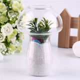 Mushroom Shaped Glass Vase Terrarium Bottle Container Flower Home Table Decoration