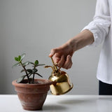 Vintage Brass Gardening Meaty Small Watering Can, TBD01827107, TBD01827107B, TBD01827107RG, TBD01827107S