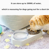 Pet Inclined Mouth Anti-tipping Dog and Cat Plastic Bowl Water Dispenser, Single Bowl, Double Bowl