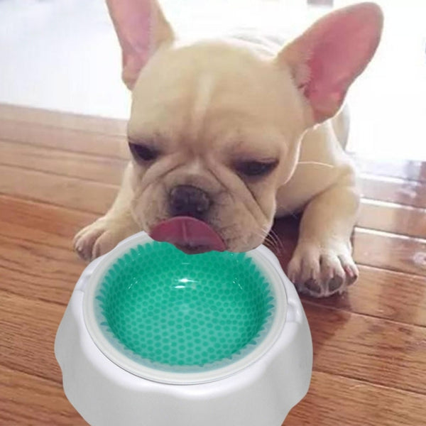 Pet Cooling Speed Cold Bowl Food Bowl, Speed Cold Bowl