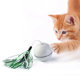 USB Rechargeable LED Scrolling Flash Ball Cat Funny Toy