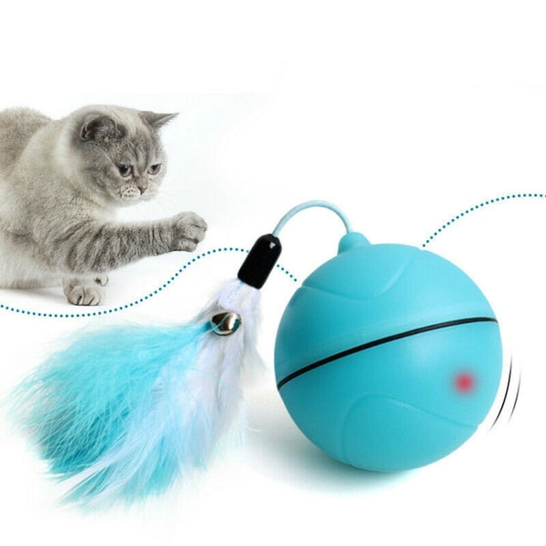 USB Rechargeable LED Scrolling Flash Ball Cat Funny Toy