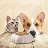 Stainless Steel Plastic Pumpkin Creative Pet Food Bowl