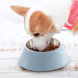 Pet Food Bowl Stainless Steel Dog Cat Dual-use Bowl, Blue, Pink, Green