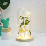 Simulation Roses Lights Glass Cover Decorations Crafts Valentines Day Gifts