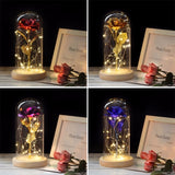 Simulation Roses Lights Glass Cover Decorations Crafts Valentines Day Gifts