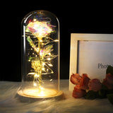 Simulation Roses Lights Glass Cover Decorations Crafts Valentines Day Gifts