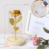 Simulation Roses Lights Glass Cover Decorations Crafts Valentines Day Gifts