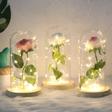 Simulation Roses Lights Glass Cover Decorations Crafts Valentines Day Gifts