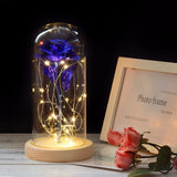 Simulation Roses Lights Glass Cover Decorations Crafts Valentines Day Gifts