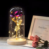 Simulation Roses Lights Glass Cover Decorations Crafts Valentines Day Gifts