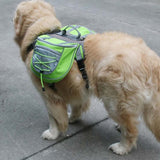 Self-Portable Backpack For Dogs Out Of The Backpack Breathable Mesh Pet Bag, S, M, L