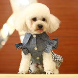 Pet Clothes Autumn And Winter Skirt Thin Dog Skirt Small Dog Princess Bow Denim Skirt, XS, S, M, L, XL