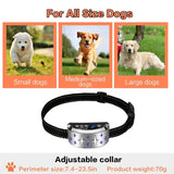 Silver Star Pattern Dog Training Device Electronic Shock Charging Waterproof Collar Pet Bark Stopper, Silver Star Pattern