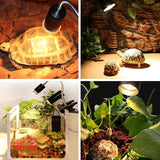 Tortoise UVB Tanning Lamp Holder Full Spectrum Pet Solar Heating Light Holder, EU Plug, EU Plug