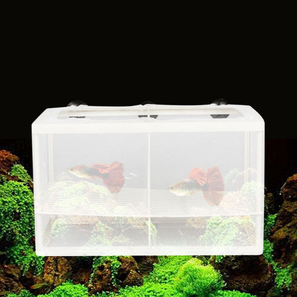 Large With Clapboard Incubator Small Fish Isolation Box Net Tropical Fish Breeding Box, With Clapboard