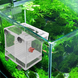 Small Size With Clapboard Incubator Small Fish Isolation Box Net Tropical Fish Breeding Box, With Clapboard