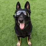 Pet Goggles Dog Transparent Glasses Waterproof Windproof Snowproof Dog Glasses, Transparent Glasses