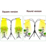 USB 40W 12V LED Plant Growth Supplement Light With RF Remote Control Floor Folding Tripod Without Power Adapter, Style: Square Version, Square Version