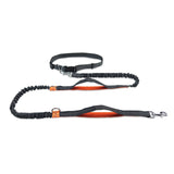 Running Reflective Double Telescopic Dog Rope Dog Chain Traction, Black D Ring Water Green, Royal Blue, Orange, Fluorescent Green, Water Green, Black D Ring Fluorescent Green