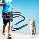 Running Reflective Double Telescopic Dog Rope Dog Chain Traction, Black D Ring Water Green, Royal Blue, Orange, Fluorescent Green, Water Green, Black D Ring Fluorescent Green