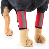 Pet Knee Protector Dog Surgery Injury Protective Cover, S, M